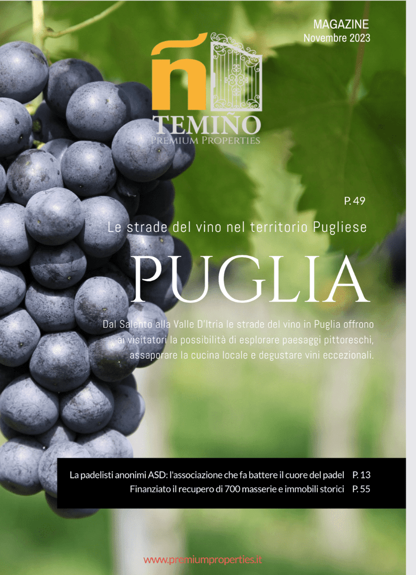 [TODO: copertina magazine Puglia: le strade del vino]